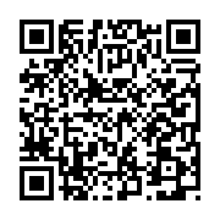 QR code for V290811