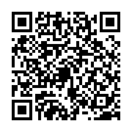 QR code for V291382