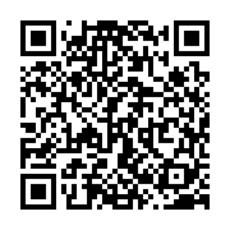 QR code for V29369