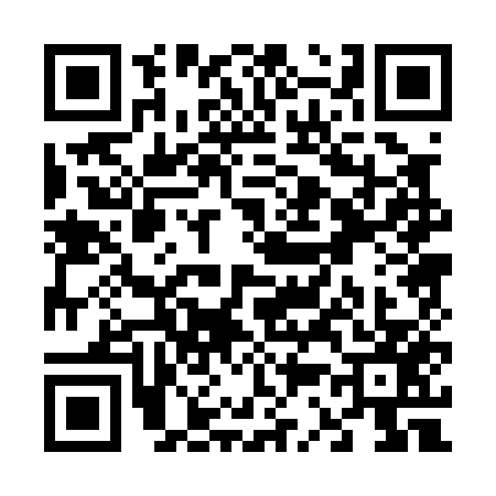 QR code for V300578