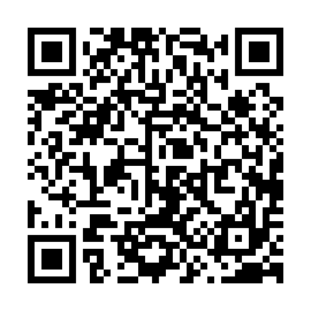 QR code for V30117