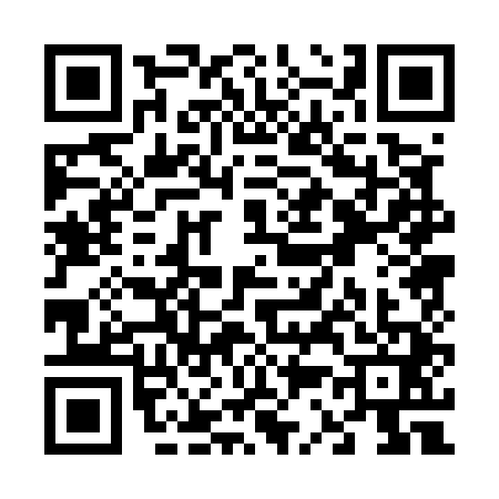 QR code for V305419