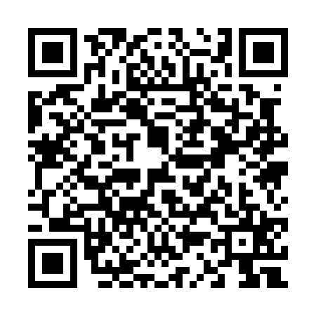QR code for V310251