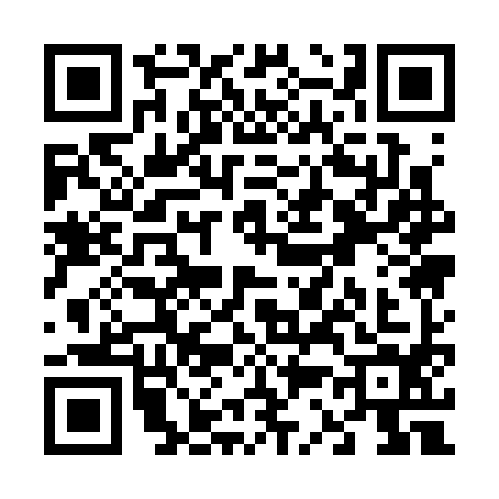 QR code for V313945