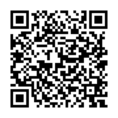 QR code for V319402