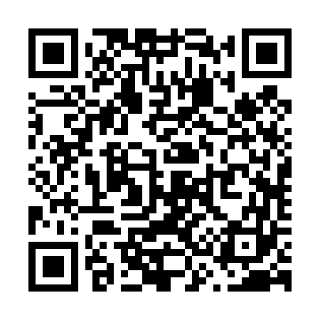QR code for V32463