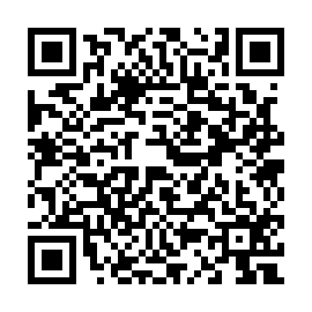 QR code for V331163
