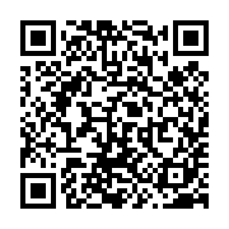 QR code for V33481