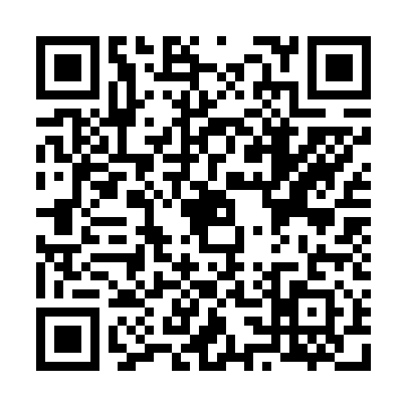 QR code for V336117