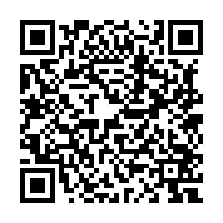 QR code for V338434