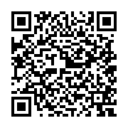 QR code for V375011