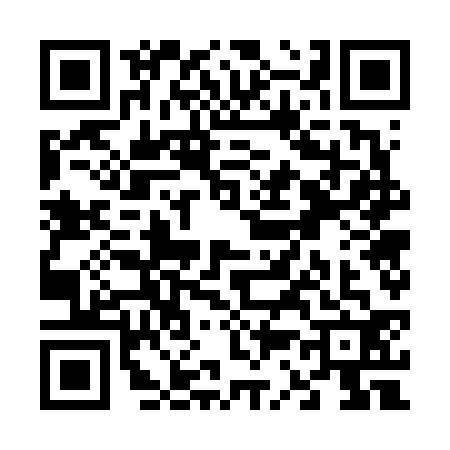 QR code for V376321