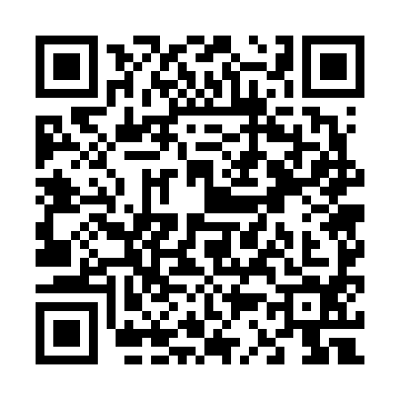 QR code for V376941