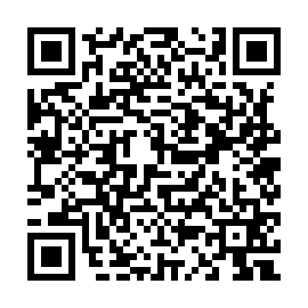 QR code for V379616