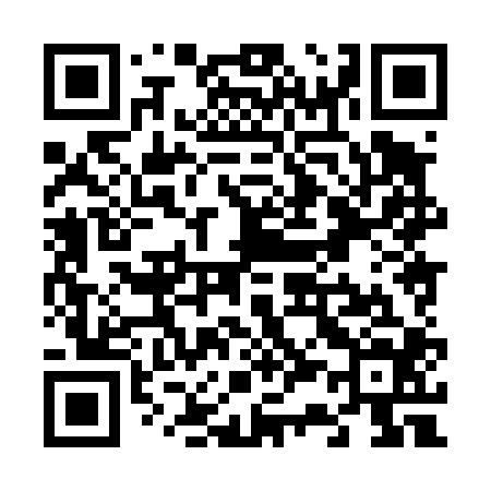 QR code for V38404