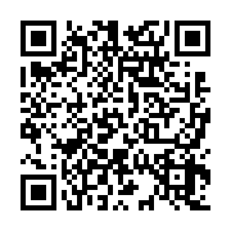 QR code for V386384