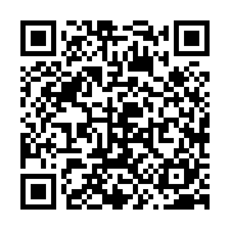 QR code for V38825
