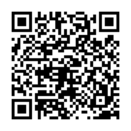 QR code for V394168