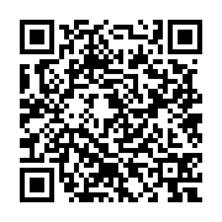 QR code for V425343