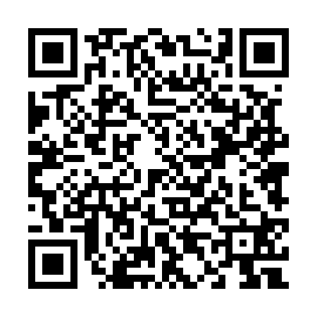 QR code for V445206