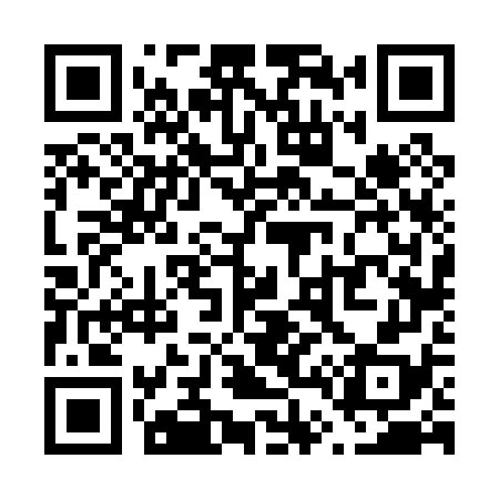 QR code for V46078