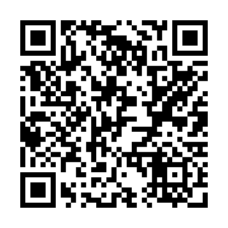 QR code for V46239