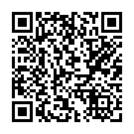 QR code for V46313