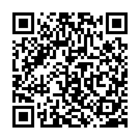 QR code for V46368