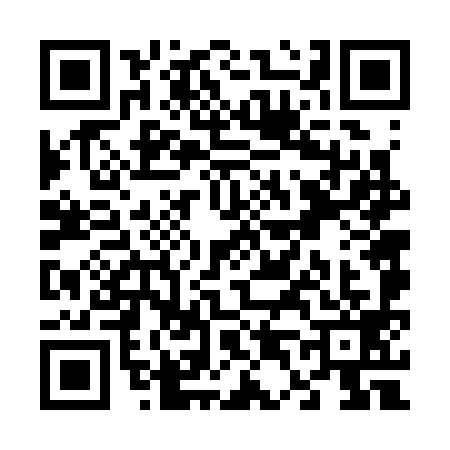 QR code for V463994