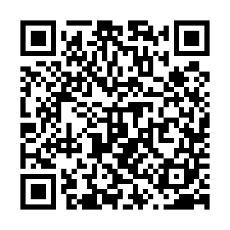 QR code for V46541