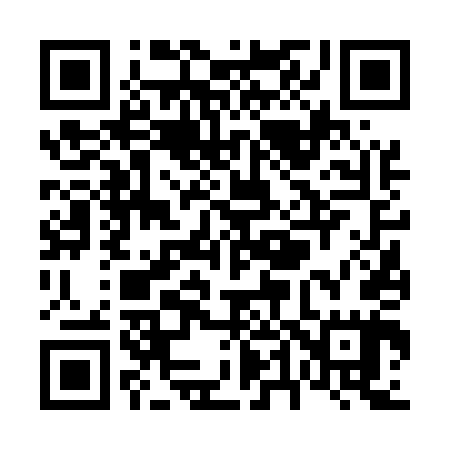 QR code for V46545