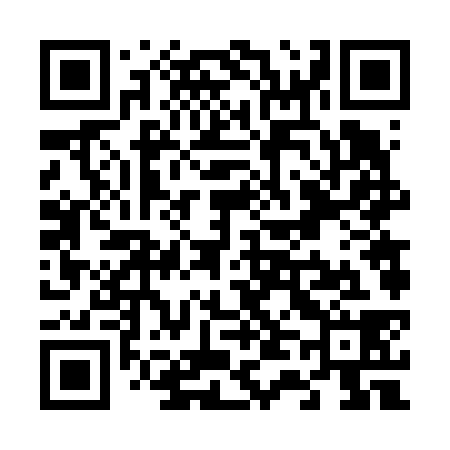 QR code for V46638