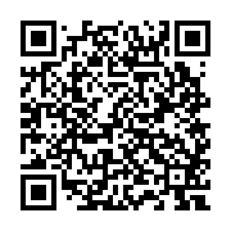 QR code for V47382