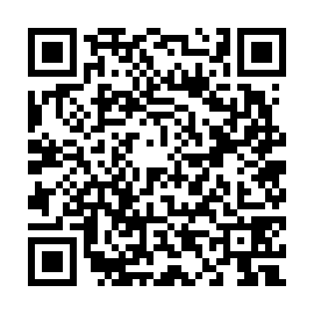 QR code for V476787