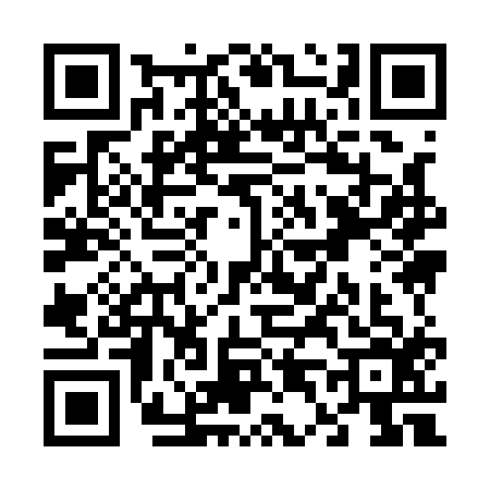 QR code for V491160
