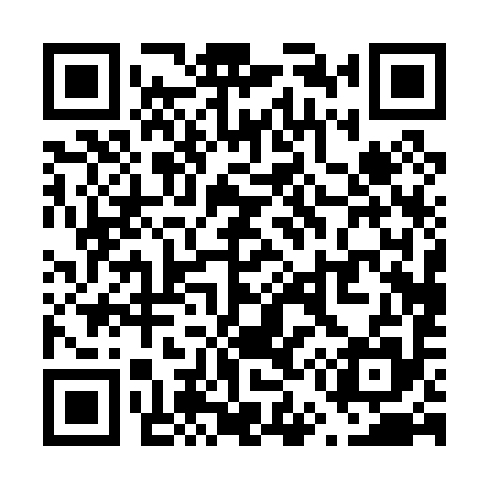 QR code for V50095