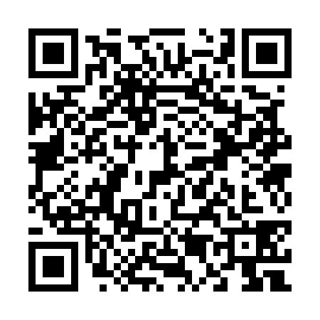 QR code for V535388