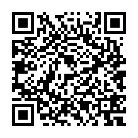 QR code for V546285