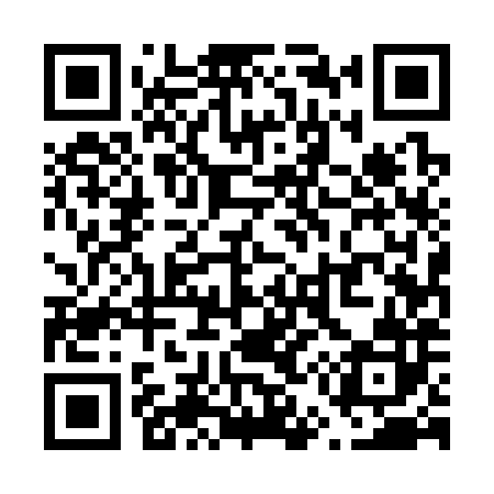 QR code for V55382