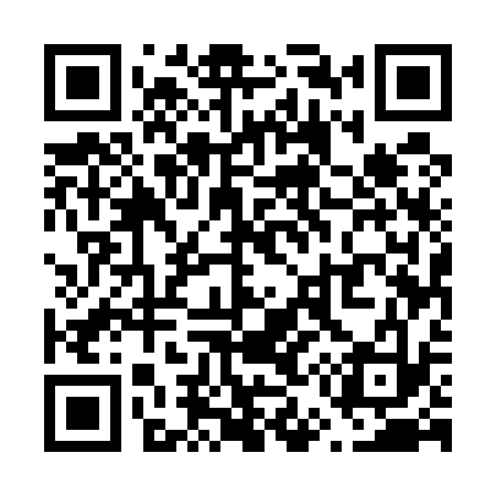 QR code for V55533