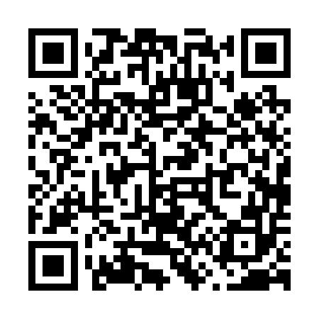 QR code for V60252