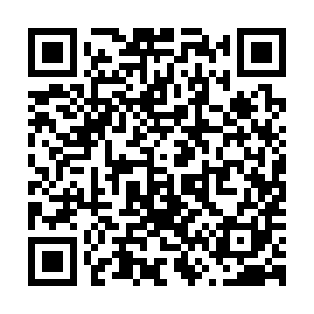 QR code for V61381