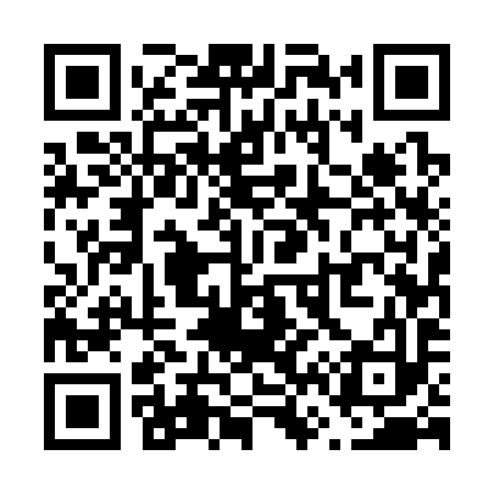 QR code for V65393