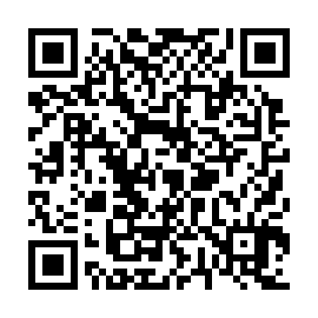 QR code for V70304