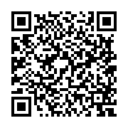 QR code for V738867