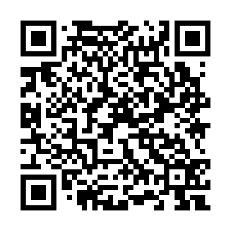QR code for V79336