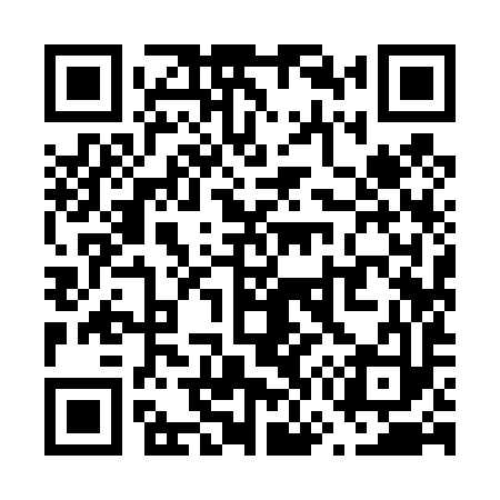QR code for V79493