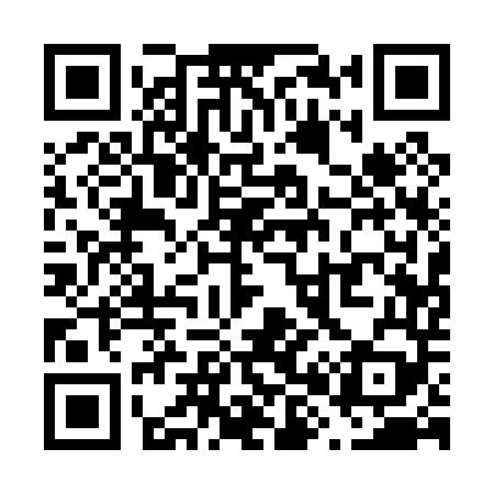 QR code for V81049