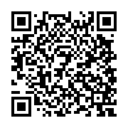 QR code for V86041