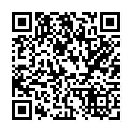 QR code for V86369